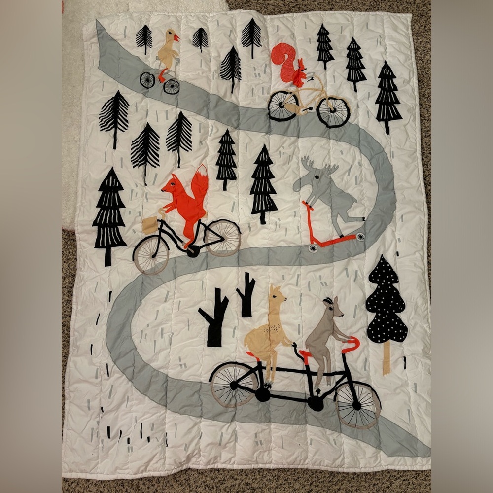 Land of Nod Quilt